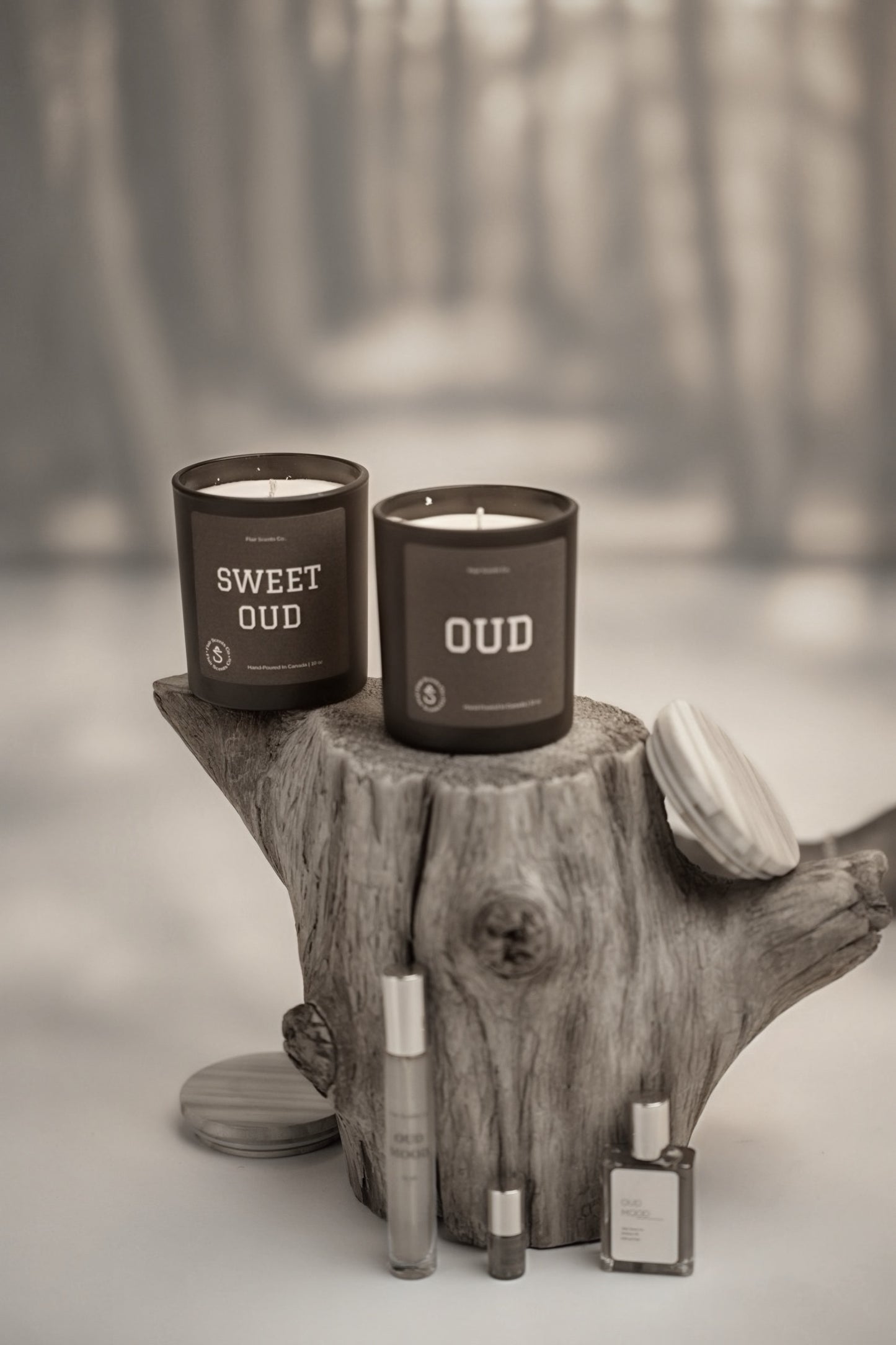 3 Quote Collection Candles + Wick Trimmer Bundle