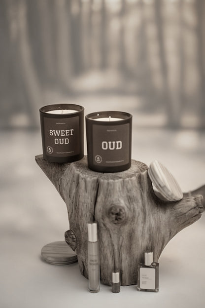 3 Quote Collection Candles + Wick Trimmer Bundle